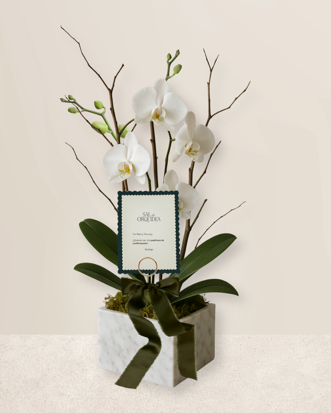 Orquídea en base de Mármol con Dedicatoria en Papel Premium