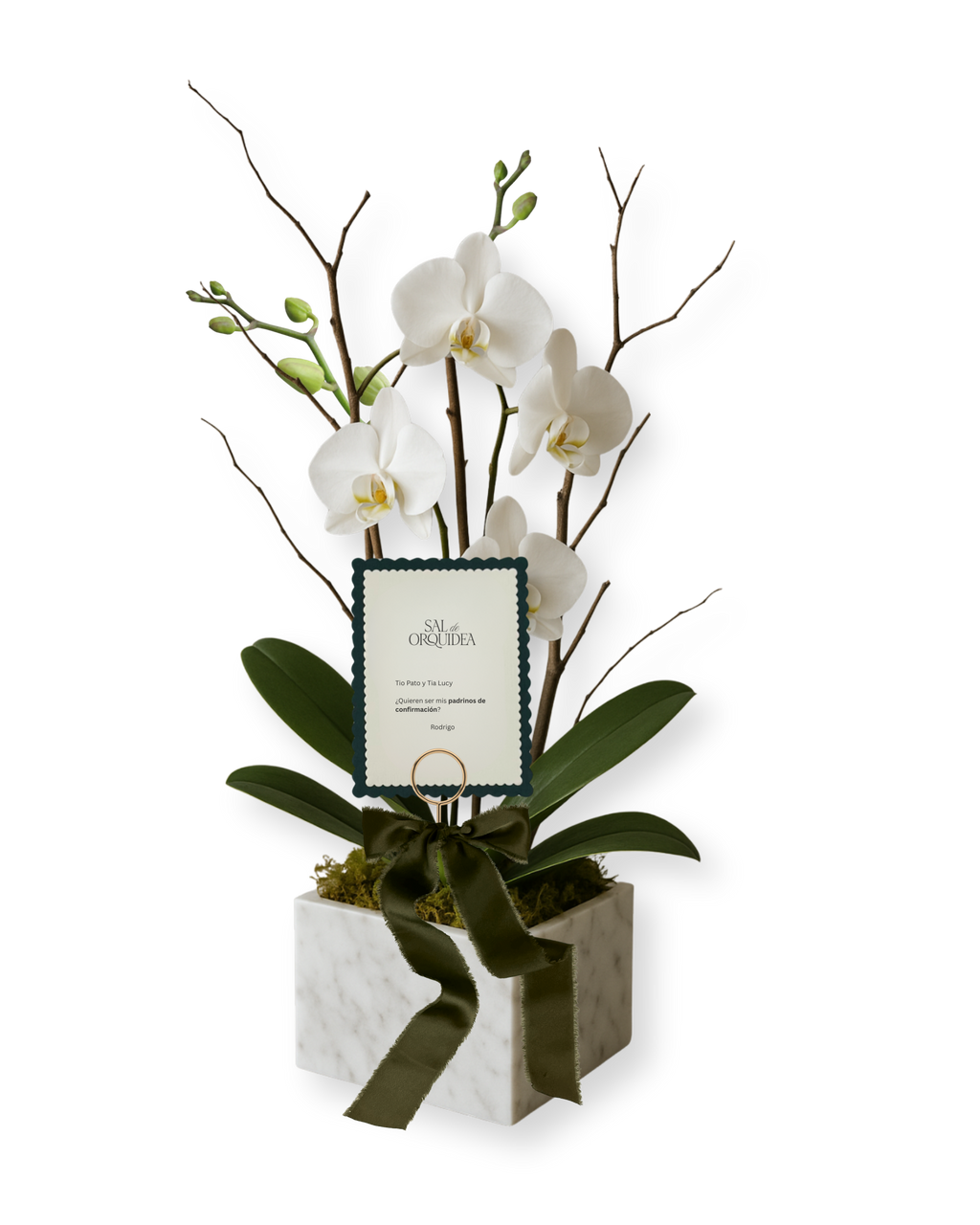 Orquídea en base de Mármol con Dedicatoria en Papel Premium